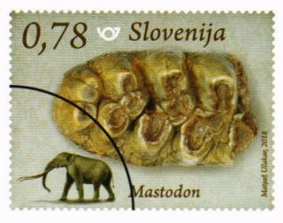 2018 02 05 Slowenien 2018 Mastodon.pdf Foxit Reader