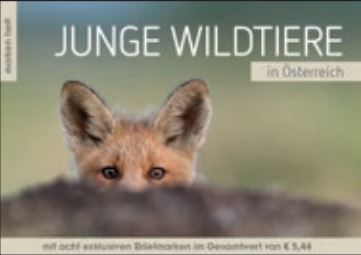 0617014 JungeWildtiere