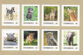 0617014 Tierbabys afrika2