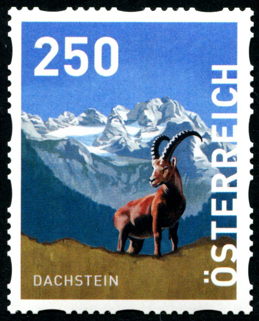 Dis 250steinbock