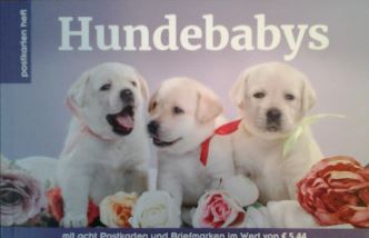 MH Hundebabys1