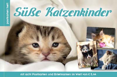 PK Katzenkinder2