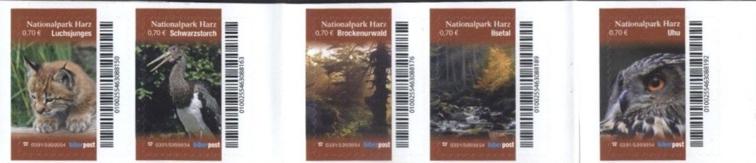 Nationalpark Harz 070 LuchsjungesMHinnenseite