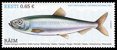 2017herring