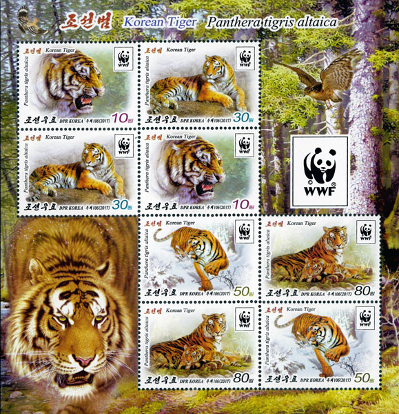 2017 WWF tiger KB2