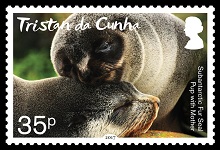 201704 fur seals 0 35p a 150h