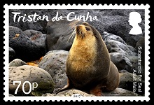 201704 fur seals 0 70p a 150h