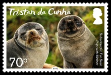 201704 fur seals 0 70p b 150h