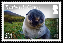 201704 fur seals 1 00p a 150h