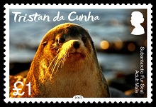 201704 fur seals 1 00p b 150h